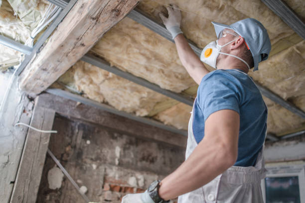 Best Spray Foam Insulation in Darmstadt, IN