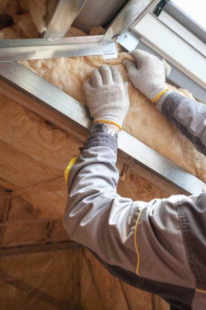 Best DIY Insulation Kits and Guidance in Darmstadt, IN
